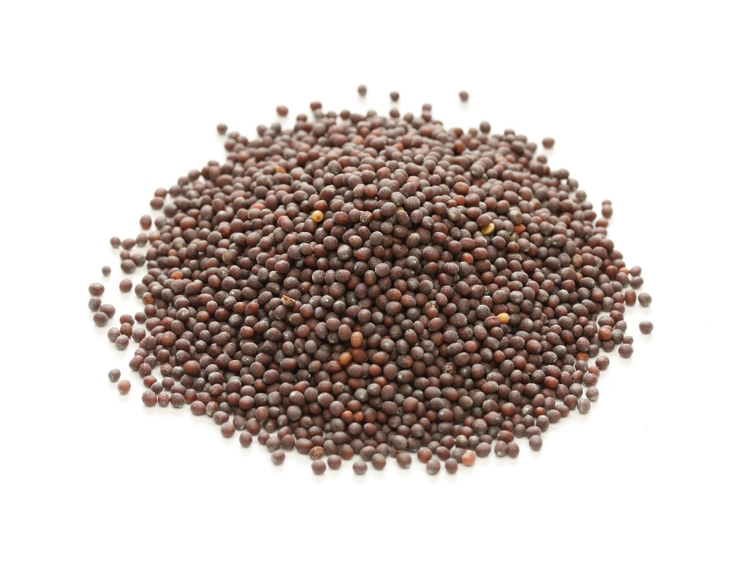 Mustard Seeds, Brown