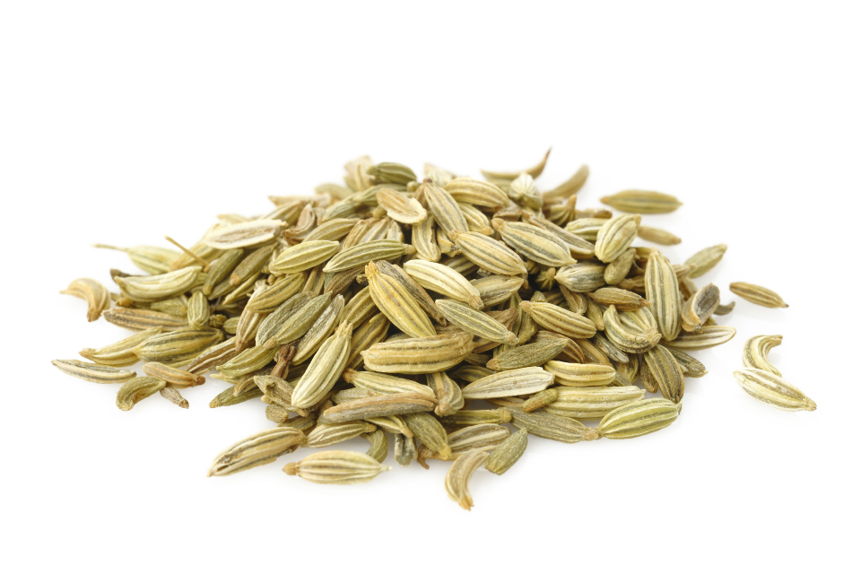 Fennel, seed